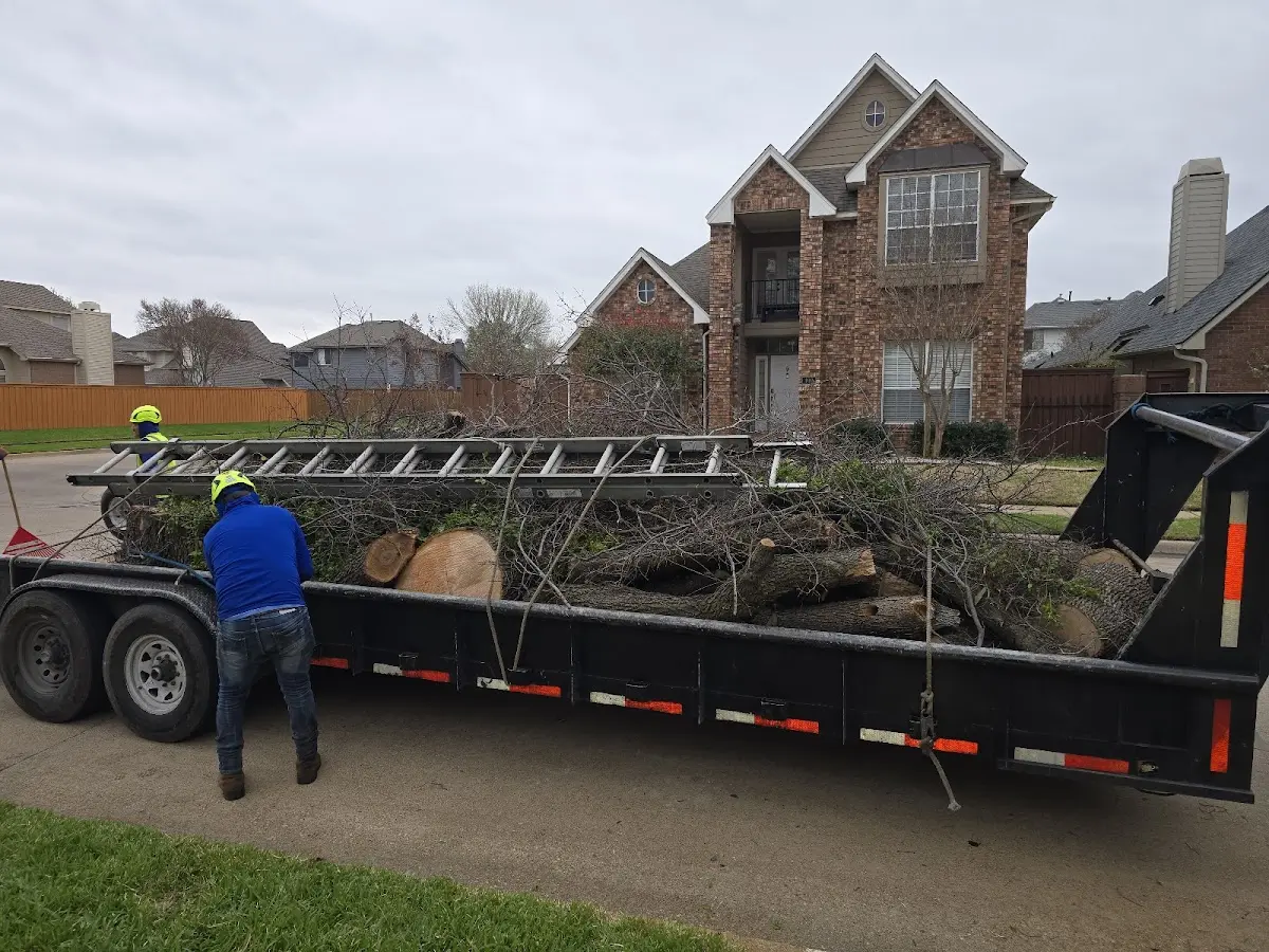 Expert Crown Reduction with proper safety equipment in Rock Point